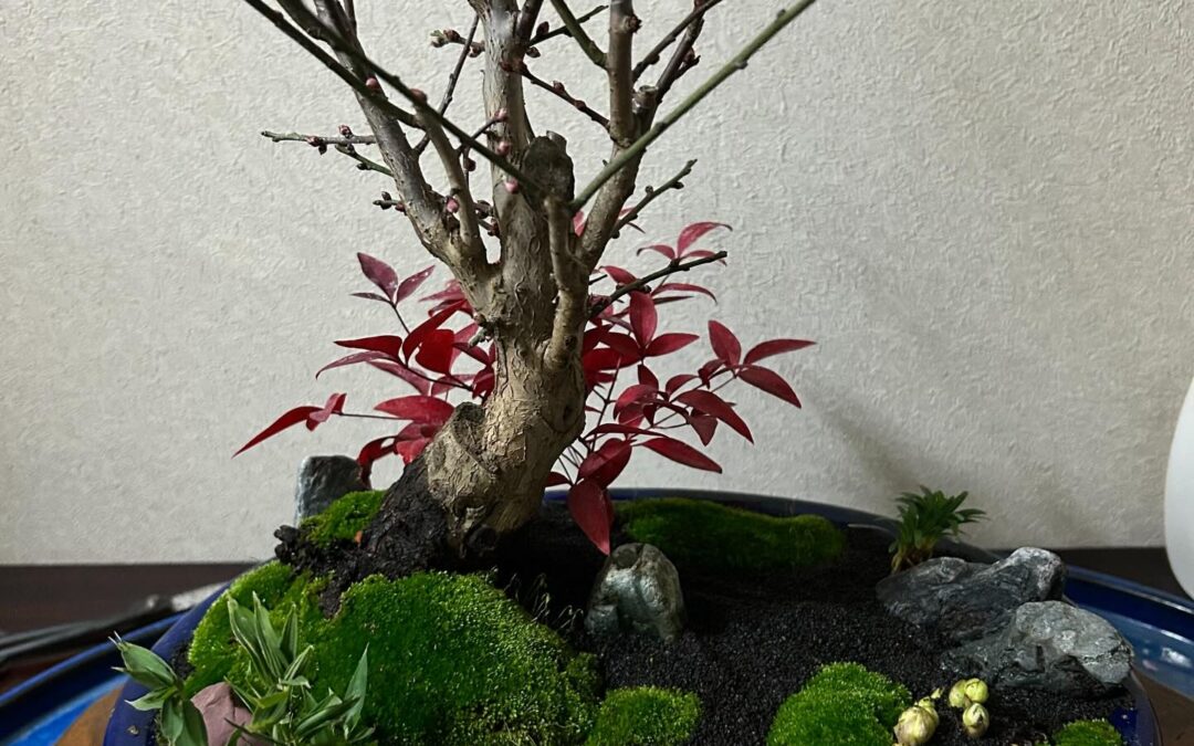 お庭のお手入れをもっと楽にしませんか？都庭芸では、経験豊富な