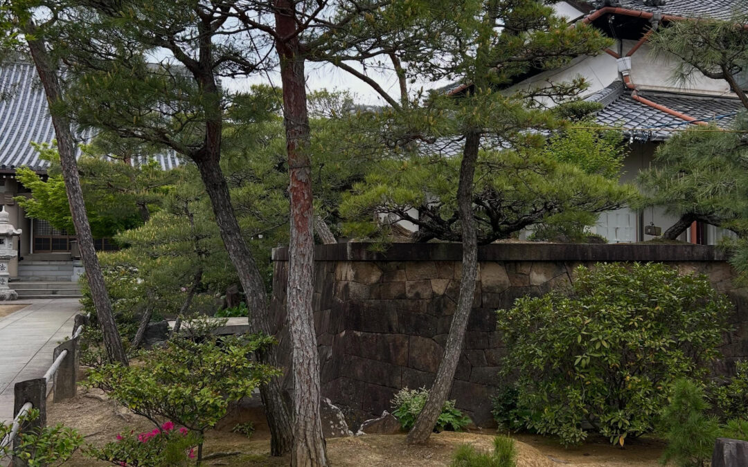 旧高松城跡の庭園を20年余り前に