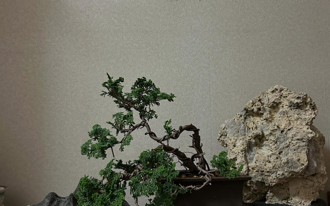 はまってます